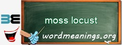 WordMeaning blackboard for moss locust